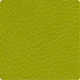 Vert citron (F6461657)